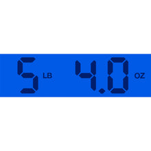 Load image into Gallery viewer, New Gibson Custom Greatest Hits Volume II Dove Alpine White