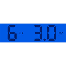Load image into Gallery viewer, 1995 Fender MIJ ‘69 Mustang Sonic Blue