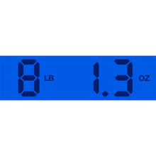 Load image into Gallery viewer, 2001 Ibanez K7 Firespark Blue James "Munky" Shaffer Signature