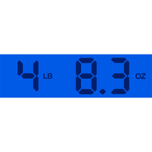 Load image into Gallery viewer, 2016 Taylor 110ce Natural