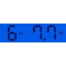 Load image into Gallery viewer, New Gibson SG Standard Heritage Cherry