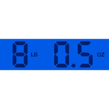 Load image into Gallery viewer, New Rickenbacker 360/12 12 String WB CB VP Coralglo Limited Edition #2524799