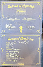 Load image into Gallery viewer, New Rock N Roll Relics Thunders DC Dog Hair
