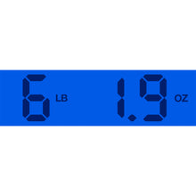 Load image into Gallery viewer, New Rock N Roll Relics Thunders DC Dog Hair
