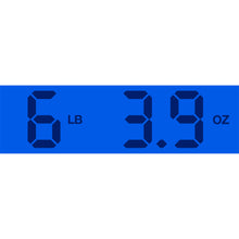 Load image into Gallery viewer, 1998 Gibson SG-Z Platinum
