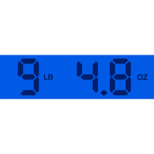 Load image into Gallery viewer, 2019 LTD EC-1000 Satin Black
