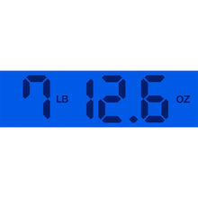 Load image into Gallery viewer, 2024 Fender Custom Shop Jason Smith Masterbuilt Sparkle Bucket Stratocaster NOS W/ Laura F Bennett Painted Guard
