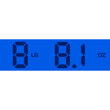 Load image into Gallery viewer, Used LTD M-1001 FR Transparent Black
