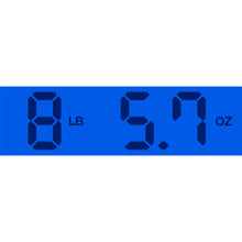 Load image into Gallery viewer, Used Dunable R2 DE Silverburst

