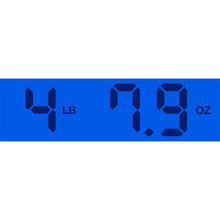 Load image into Gallery viewer, 2024 Epiphone USA Frontier Frontier Burst
